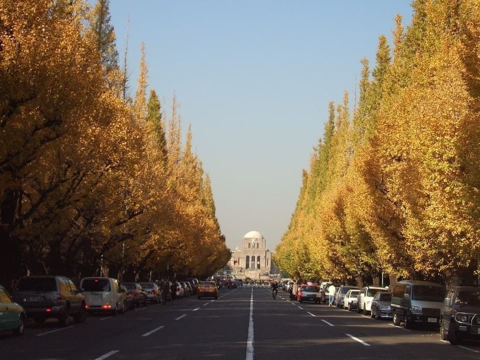 Meijijingu Gaien Icho Namiki