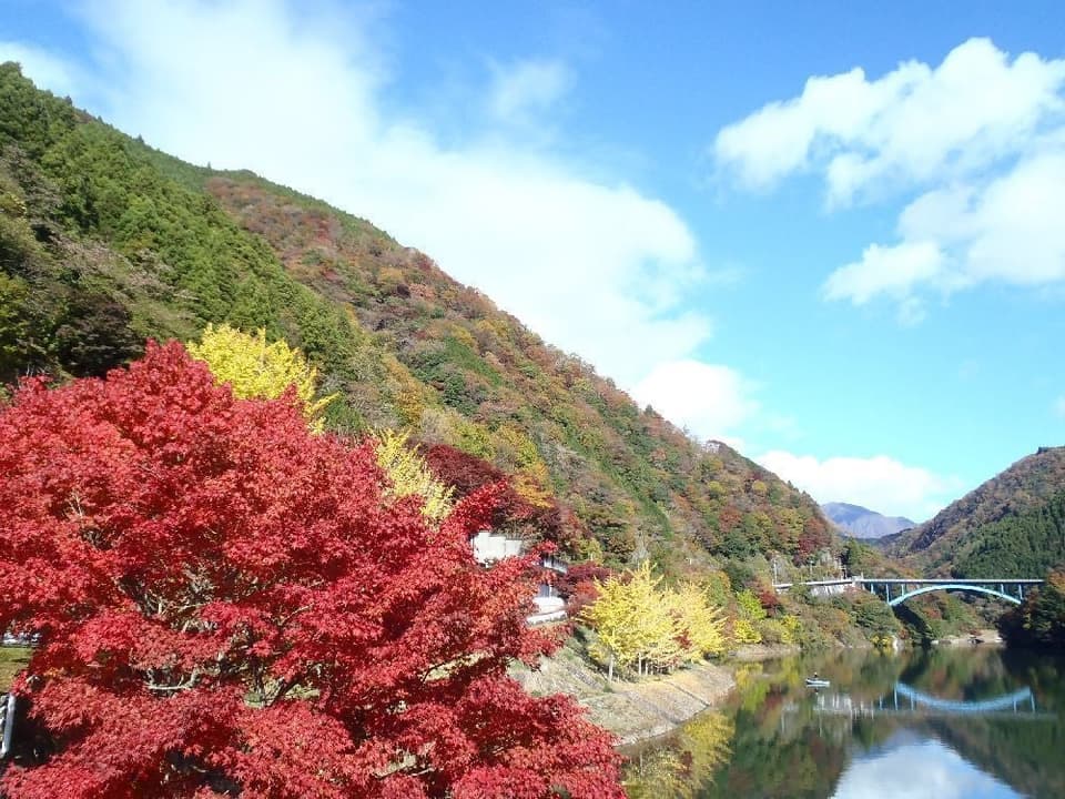 丹沢湖・箒沢の紅葉