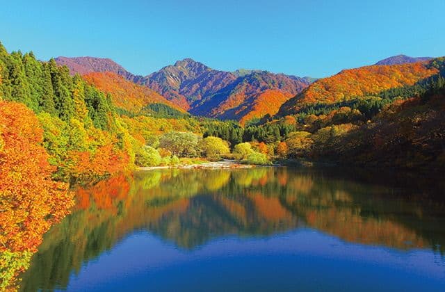Autumn leaves of Dai Genta Canyon