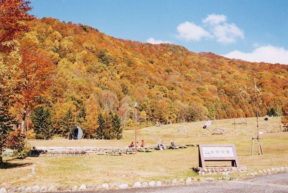 Autumn leaves in Arimine Forest Culture Village (Arimine Forest Culture Park)
