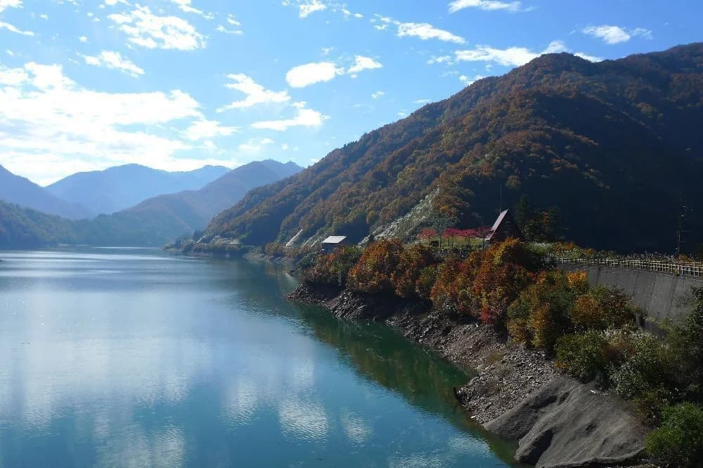 桂湖ビジターセンターの紅葉