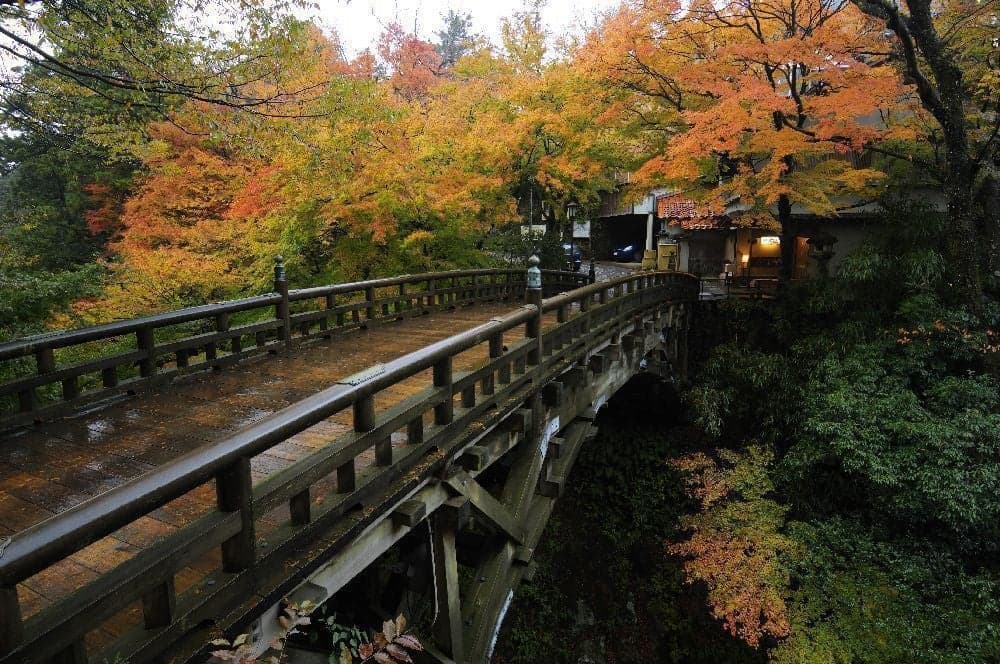 Autumn leaves of Tsurusenkei