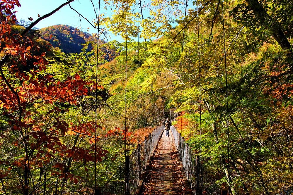 Autumn leaves in Nishizawa Valley