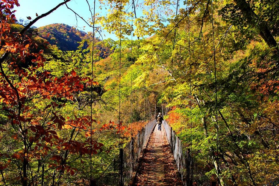 Autumn leaves in Nishizawa Valley