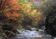 Ashikawa Valley