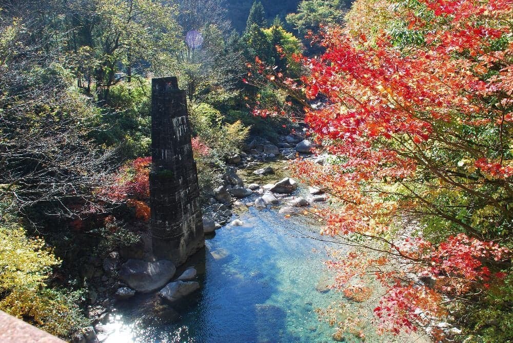 柿其渓谷の紅葉