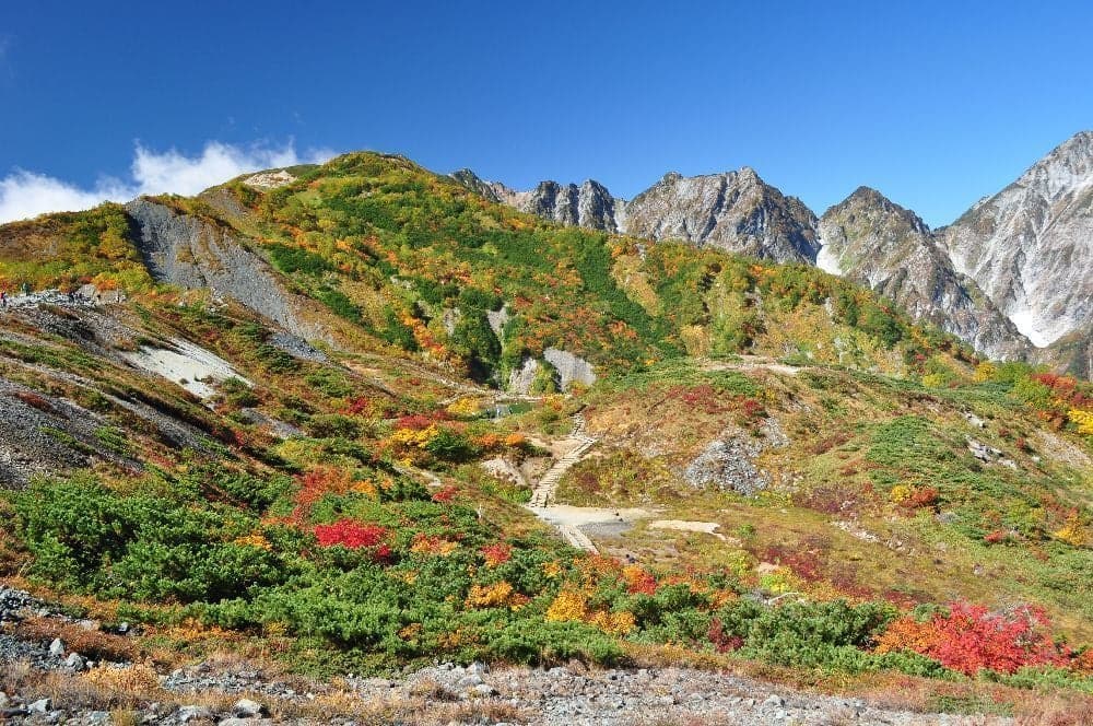 Autumn leaves on the happo ridge