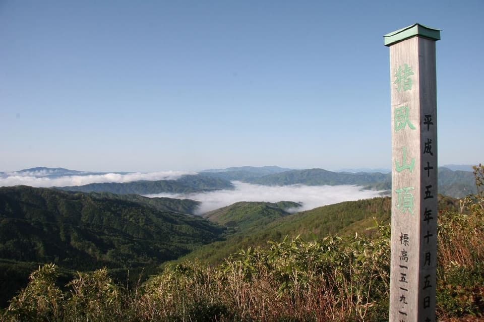 Autumn leaves of Mt. Inowa