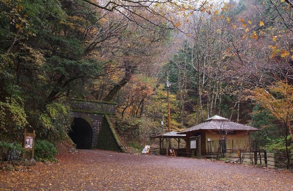 旧天城トンネルの紅葉