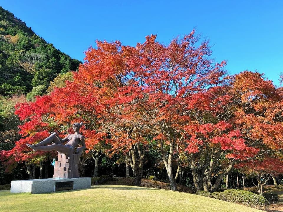 天城(昭和の森会館)の紅葉
