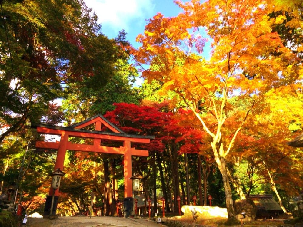 Autumn leaves of Hiyoshi Taisha Shrine