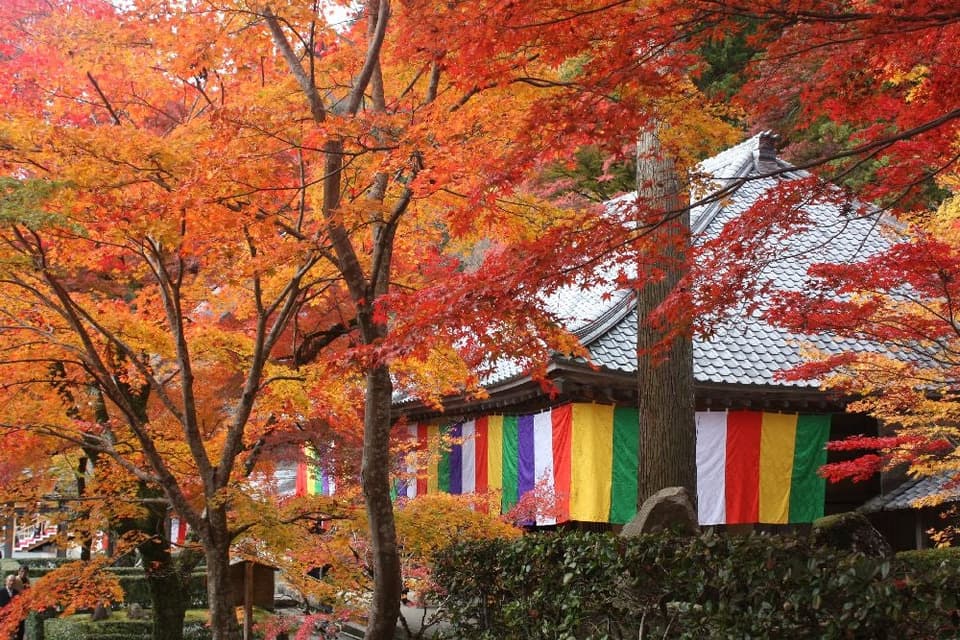 大本山 永源寺の紅葉