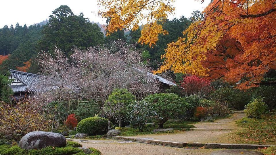 Autumn leaves of Jikko-in Temple