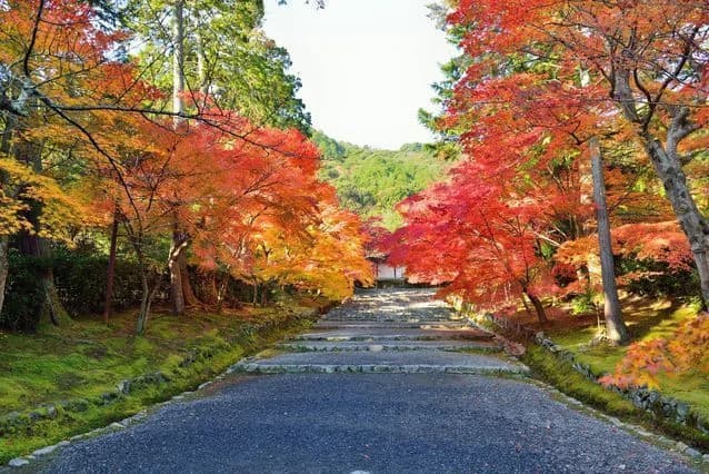 小倉山二尊院