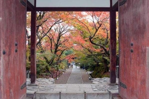 Autumn leaves of Jojakko-ji Temple