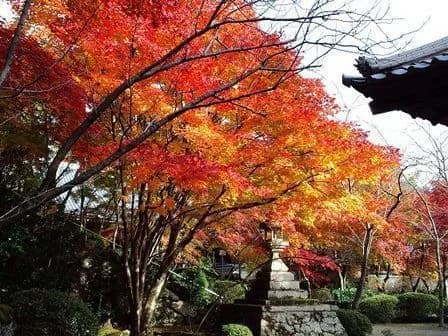 Rakusai (Shoji-ji Temple)