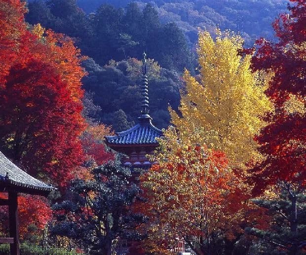 Uji (Mimurodo-ji Temple)