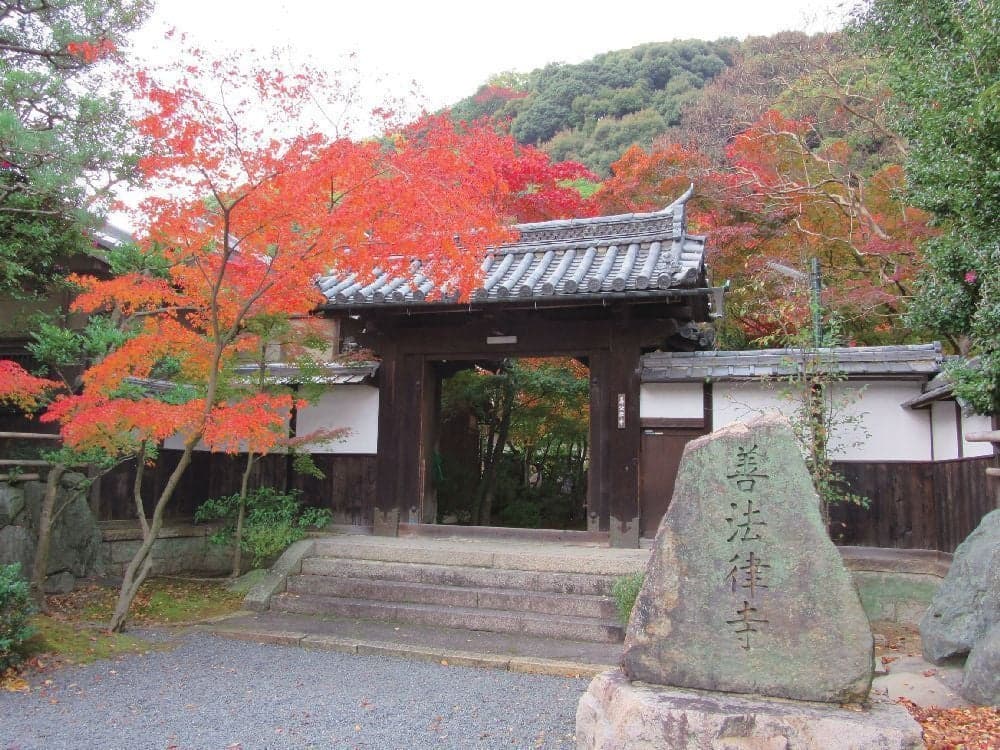 善法律寺(紅葉寺)の紅葉