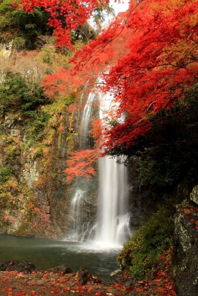 Autumn leaves of Minoh (Mino Otaki)