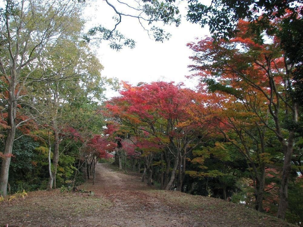 東山公園の紅葉