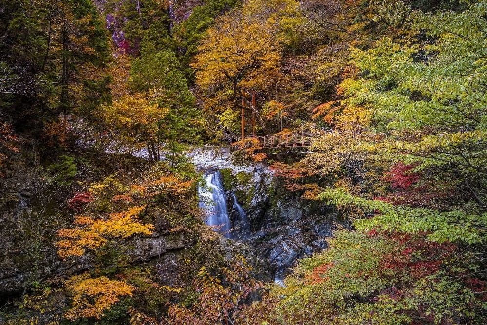Autumn leaves in the Mitarai Valley