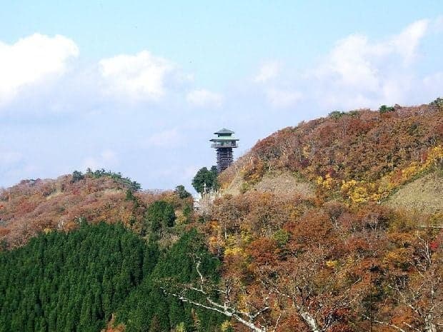 高野龍神スカイライン(国道371号線)(護摩壇山周辺)の紅葉