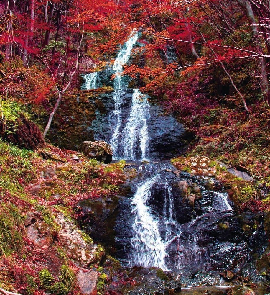 Autumn leaves of Yokono Falls