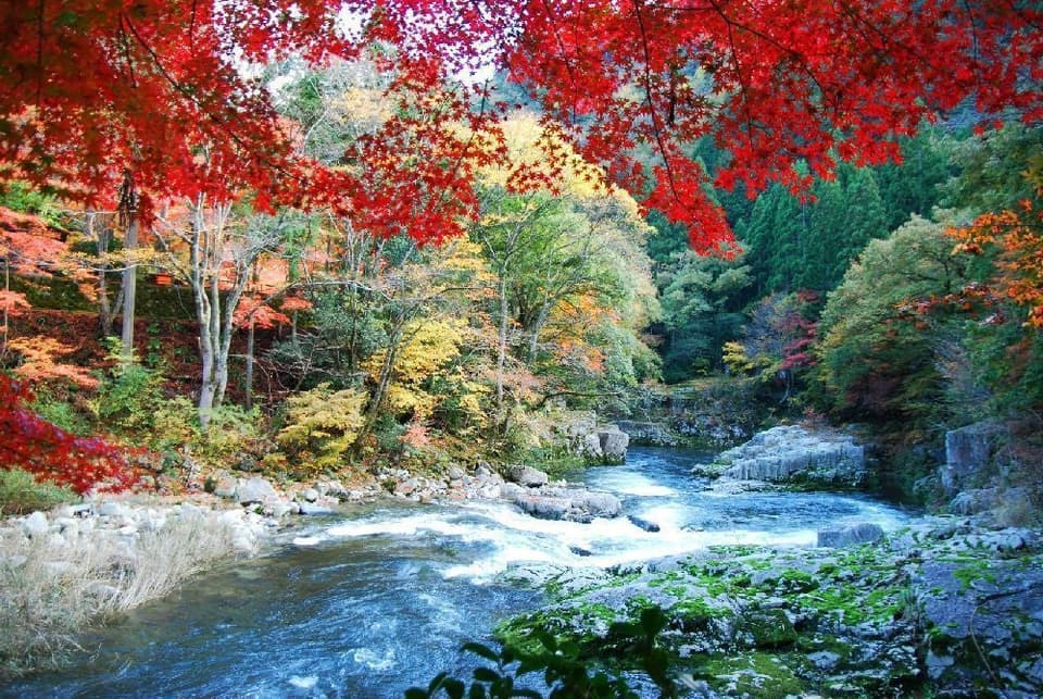 名勝奥津渓の紅葉