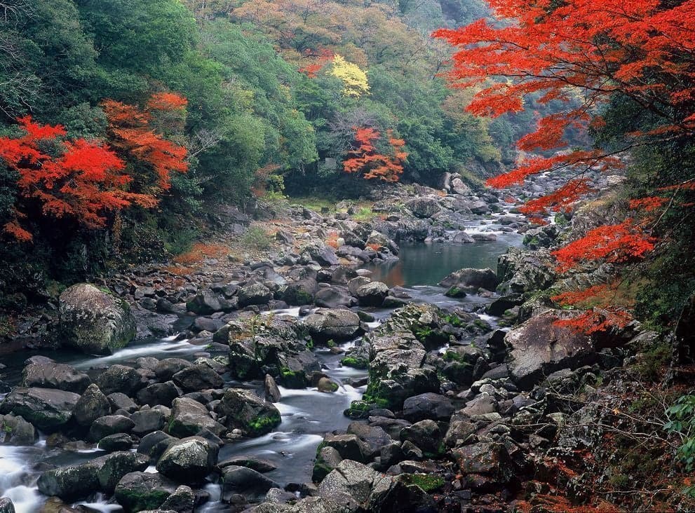Autumn leaves in Chomonkyo