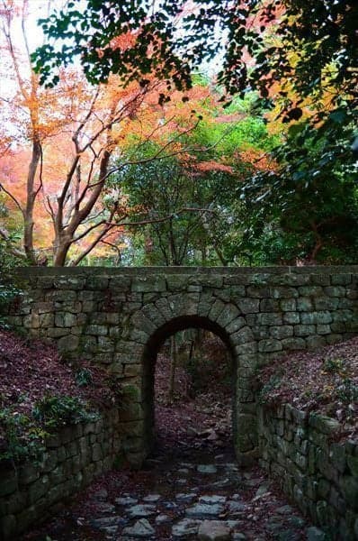 ドイツ橋・心願の鏡池の紅葉