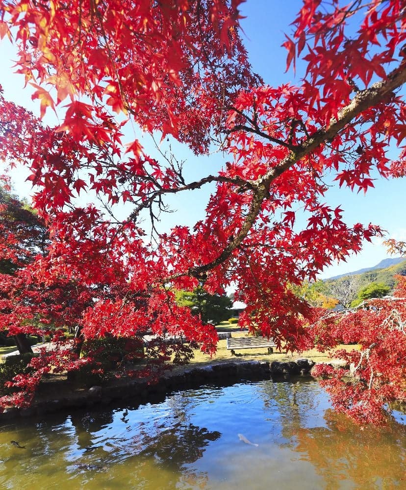 西渓公園の紅葉