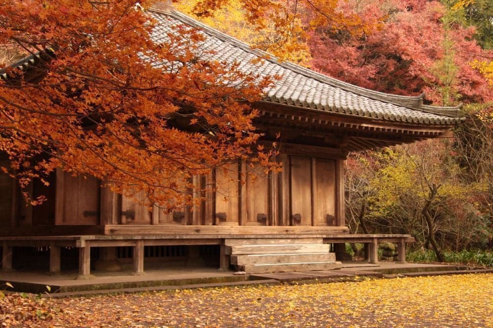 Autumn leaves of Fuki-ji Temple