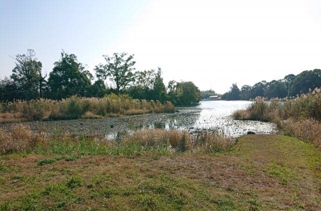 記紀の道稚児ヶ池