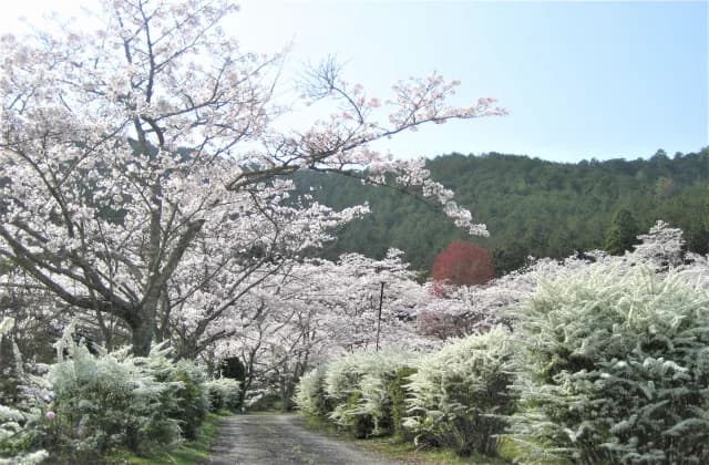 Ikegami-in