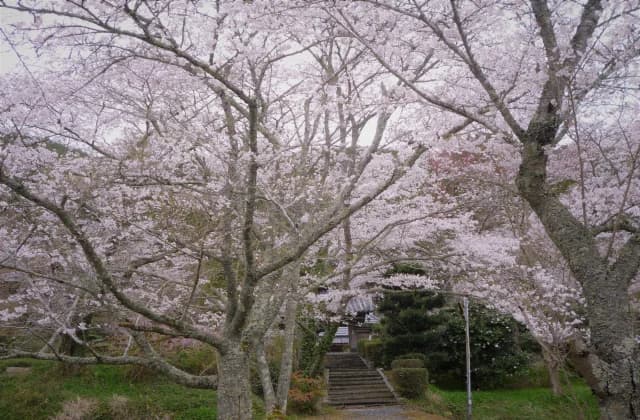Ikegami-in