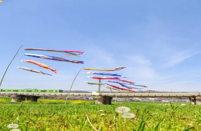 毎年4月末~5月はこいのぼりも!