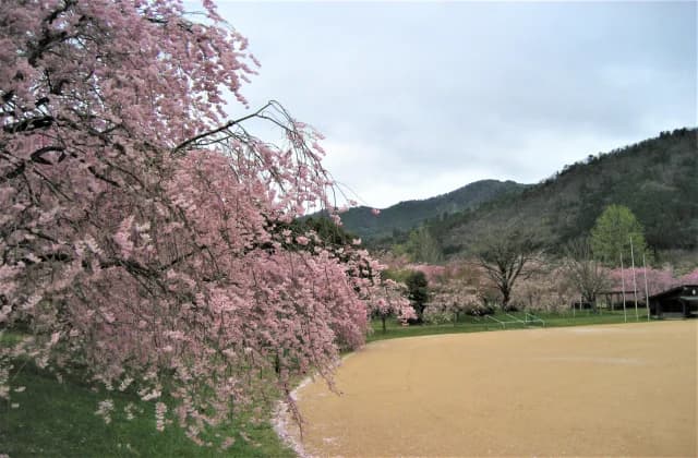 Hase Sports Park