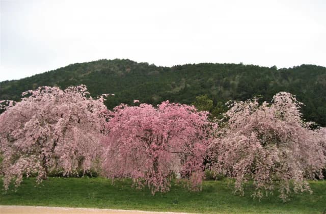 Hase Sports Park
