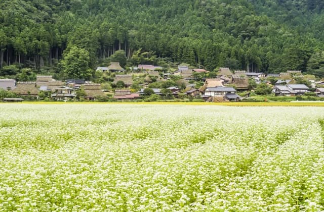 Miyama Kayabuki no Sato