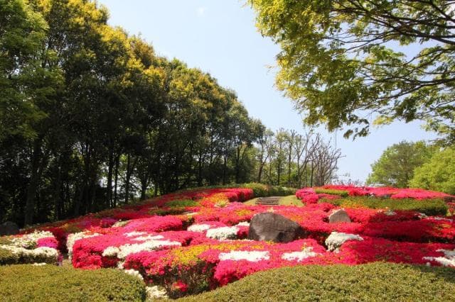Azalea Hill