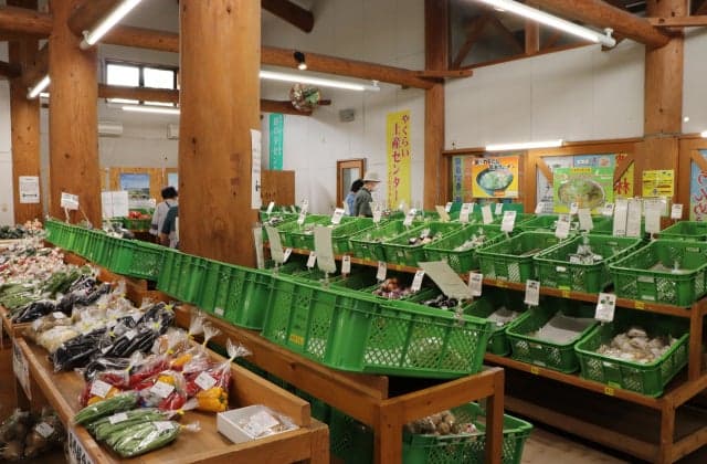 A preview of the souvenir center