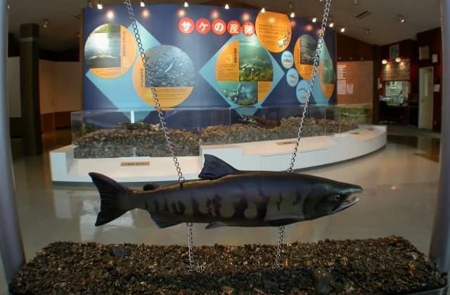 Exhibition Hall