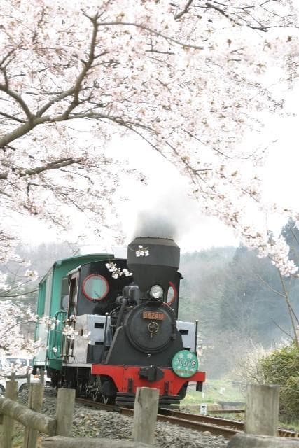 Mini SL "Sakura No. 1"