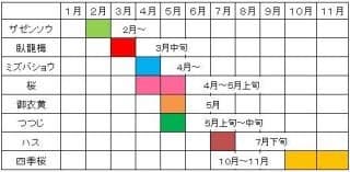 The best time to see the flowers