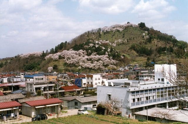 Cherry blossoms at Mt. Chausu