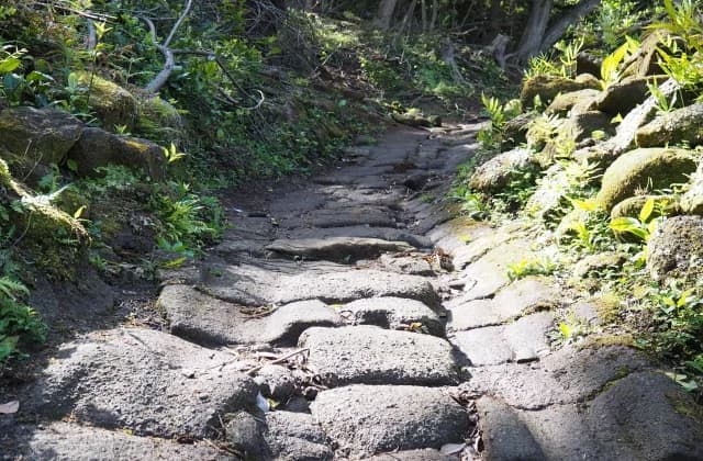 Mount Nokogiri Sharikimichi