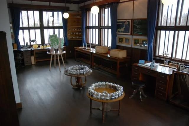 The view of the Mame Museum
