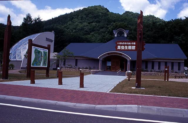 Insect Ecological Museum