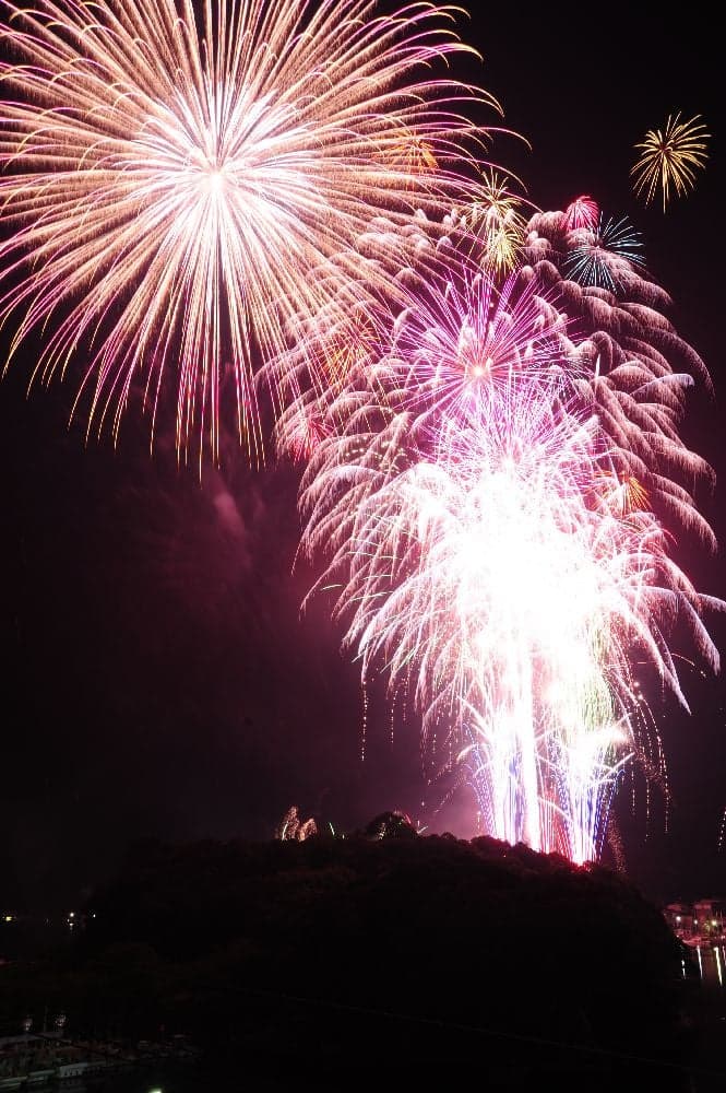 The 62nd Citizens' Festival Ashizuri Festival Summer Fireworks Festival