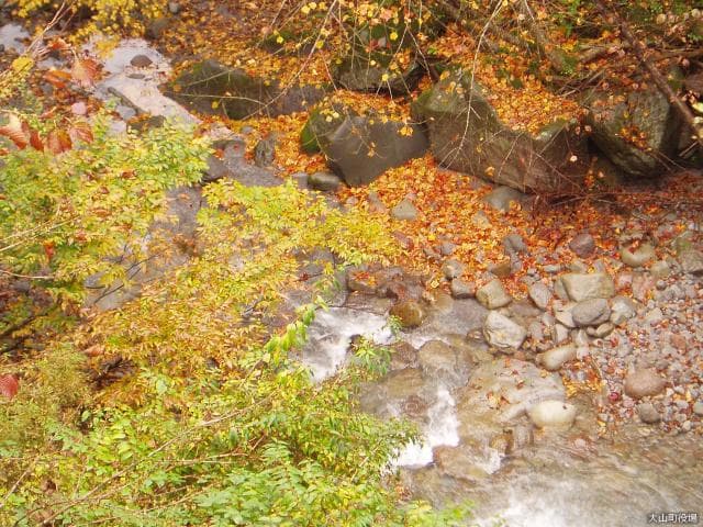 Riverbed, Amida River